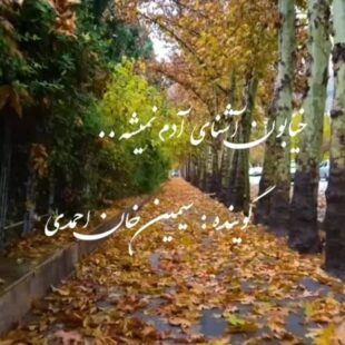 سیمین خان احمدی خیابون آشنای آدم نمیشه (ویدیو )