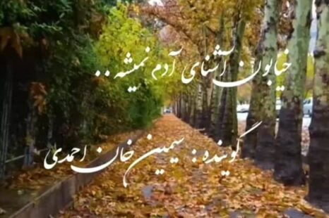 سیمین خان احمدی خیابون آشنای آدم نمیشه (ویدیو )